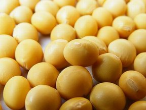 厂家供应大豆提取物
