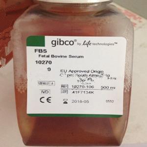 gibco 10270-106 南美胎牛血清