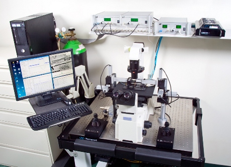 803B Permeabilized Myocyte Test System