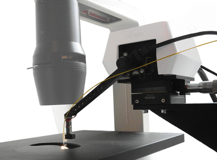 microtester Chiaro:Nanoindentation on an inverted microscope