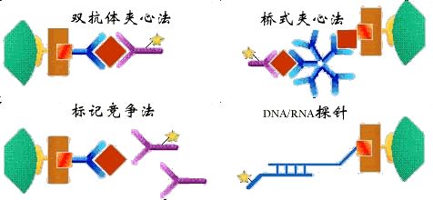 罗氏电化学发光的原理是什么_电化学发光法检测图(2)