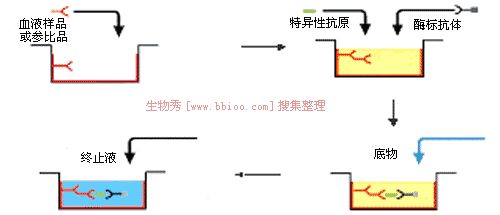 因此不能用双抗体夹心法进行测定,可以采用竞争法模式
