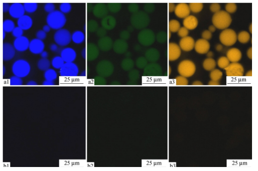 微球2.png 微球2.png