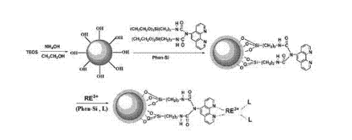 微球3.png 微球3.png
