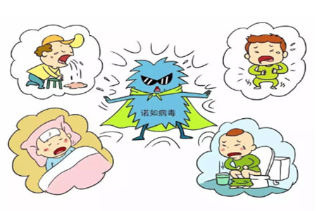 高病毒感染的诺如病毒有哪些研究领域