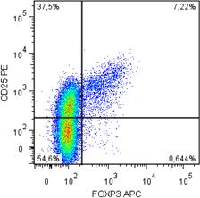 CD4 + CD25 + FOXP3 +.jpg