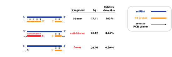 RT-qPCR-1.png