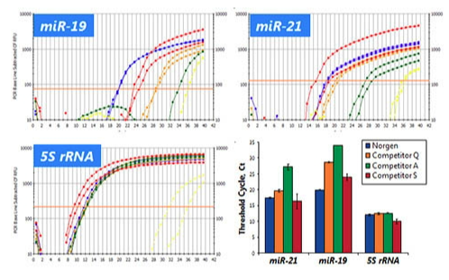 microRNA-3.png