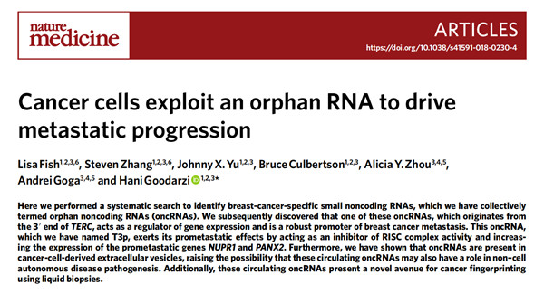 microRNA.jpg