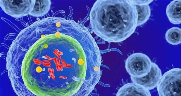 Multiplex Human Cytokine ELISA Kit.jpg