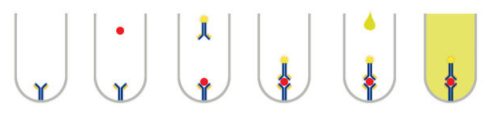 abx513003.png