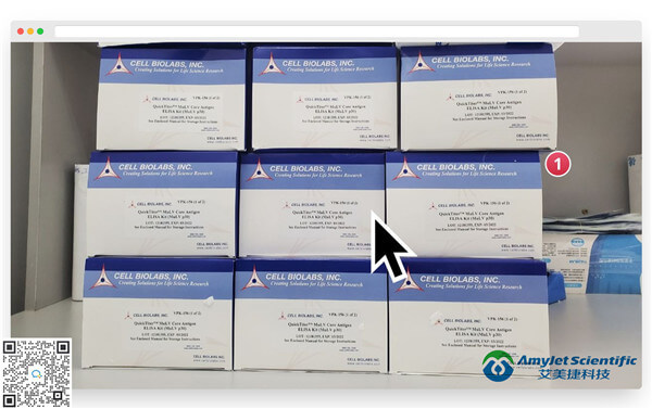 QuickTiter MuLV Core Antigen ELISA Kit.jpg