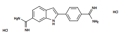 DAPI-1.png