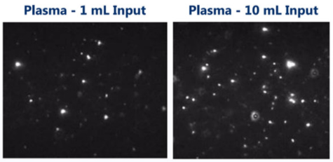 Exosome Purification Mini Kit.png