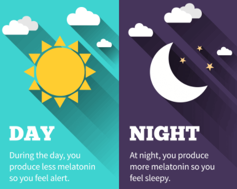 Melatonin.png