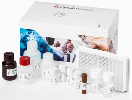 LAL Chromogenic Endpoint assay.jpg