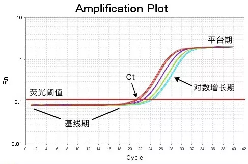 amplification-plot.png
