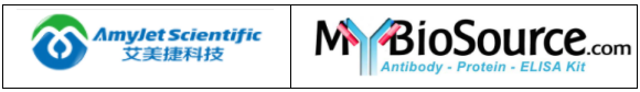 51.png 51.png