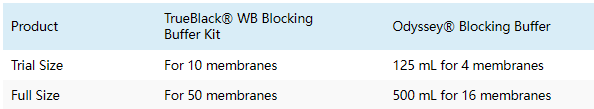 21.png