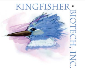 21.png