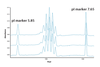 20221219-8452-使用pI标记的蛋白质纯度和均一性表征.png