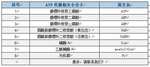 20221219-1203-BTP可检测ATP代谢相关小分子.jpg
