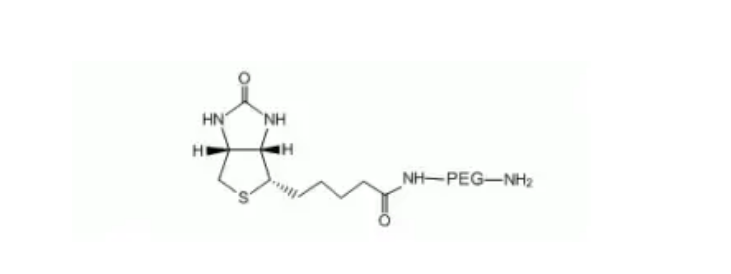 Biotin-PEG-NH2.png