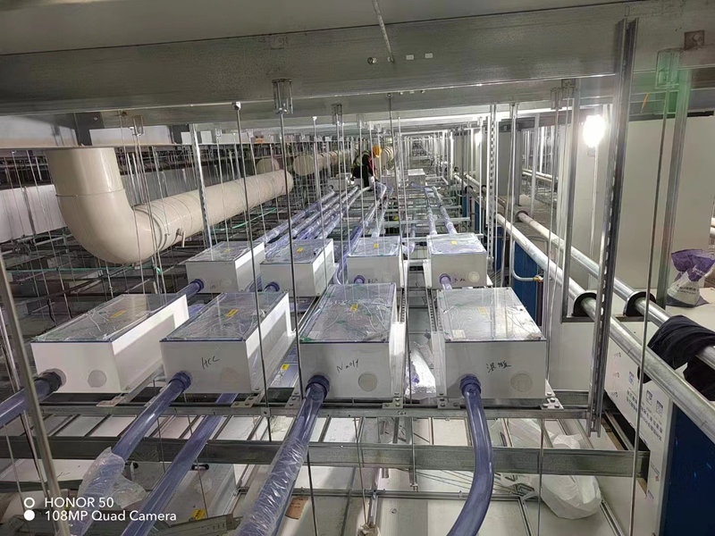 PFA接头T-BOX二级防漏箱