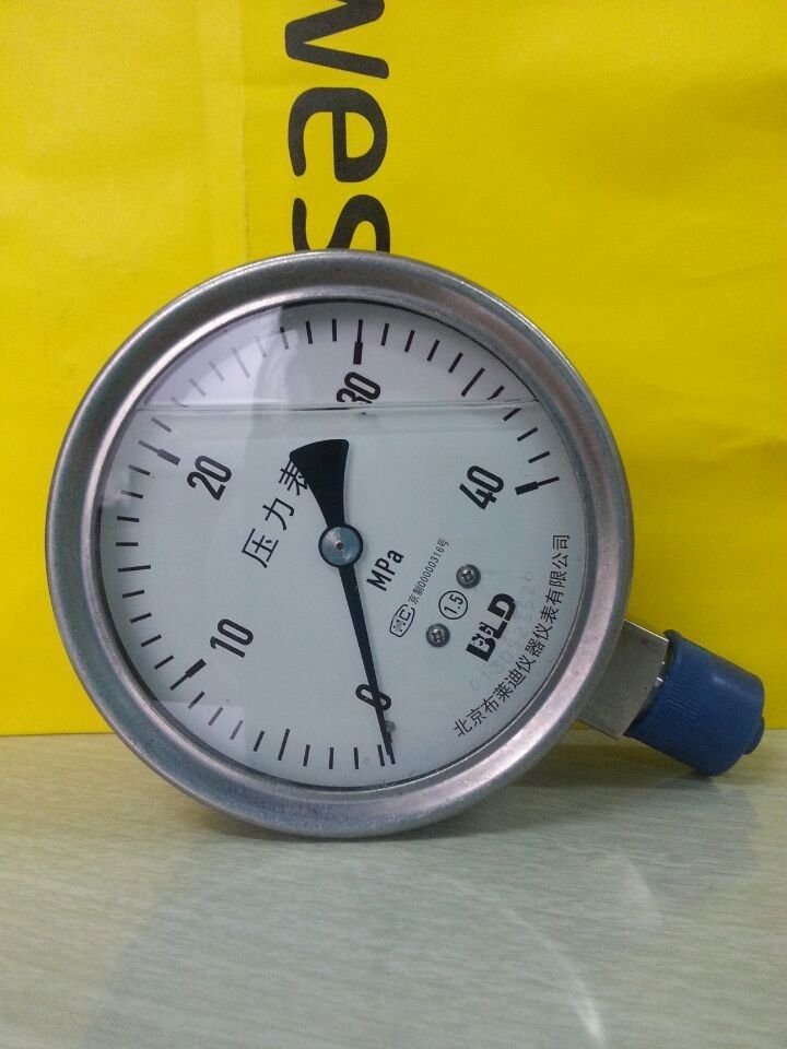 ytn-100h_北京销售布莱迪耐震压力表ytn-100h现货 - 意赛德(天津)自动