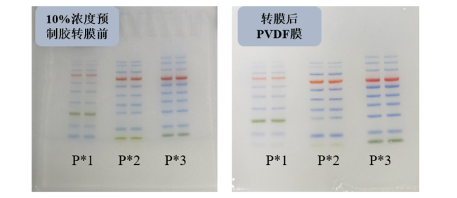 为您的实验争分夺秒