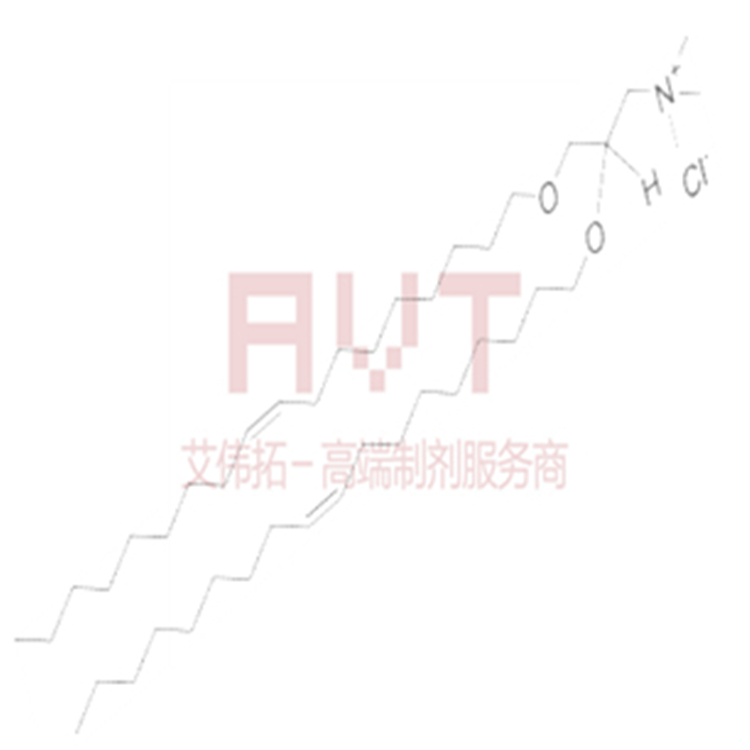 DOTMA_副本.jpg DOTMA_副本.jpg