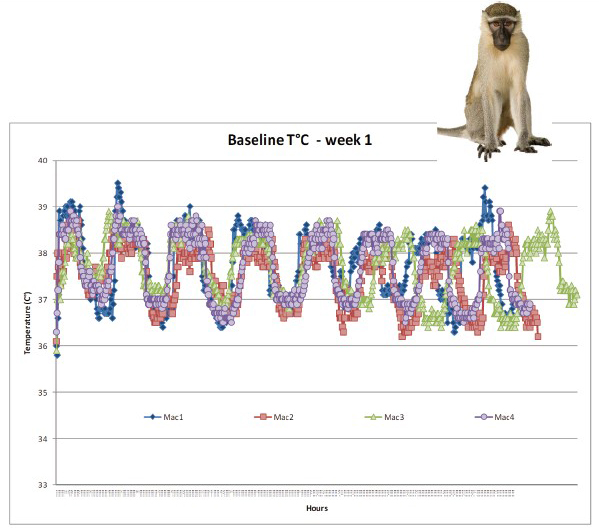 猴子与数据 gg.jpg