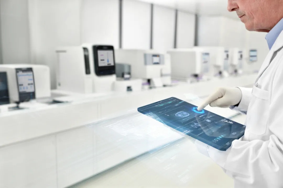 6.webp.jpg 6.webp.jpg