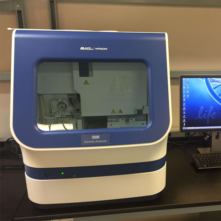 abi3500测序仪12.jpg