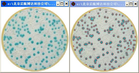 粘连一键.jpg