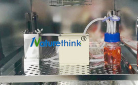 应用举例-剪切力NK100.jpg 应用举例-剪切力NK100.jpg