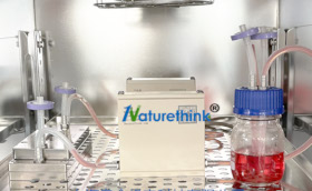 共培养缩略图1.jpg 共培养缩略图1.jpg