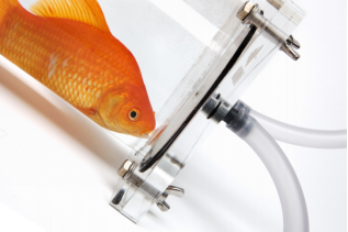 1628494674(1).jpg 1628494674(1).jpg