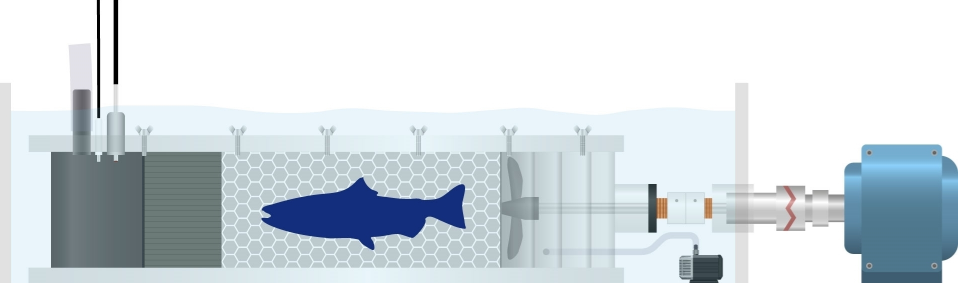 侧视图动画.jpg 侧视图动画.jpg