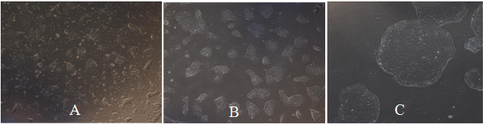 微信截图_20221208163052.png 微信截图_20221208163052.png