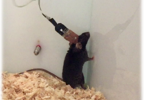 实验外包4.png 实验外包4.png