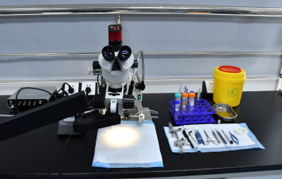 实验外包3.png 实验外包3.png