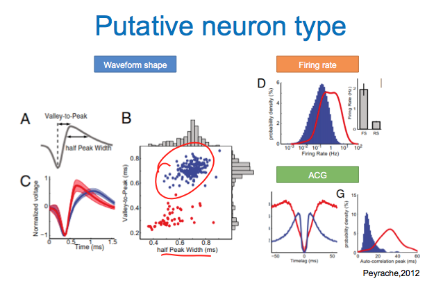 在体分析服务1.png 在体分析服务1.png