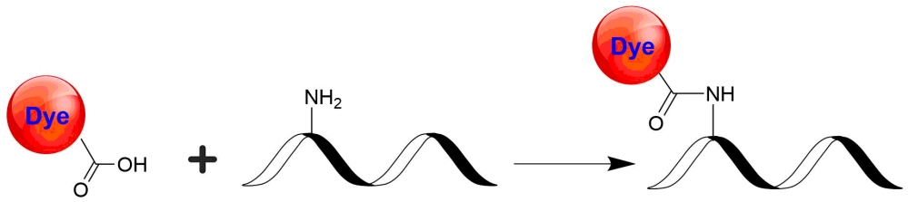 ATTO 488酸实验图.jpg