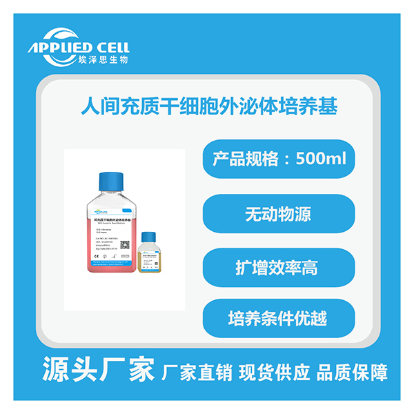 人间充质干细胞外泌体培养基.jpg