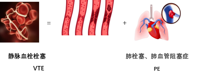 圖片2.png