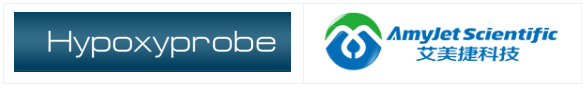 51.png 51.png
