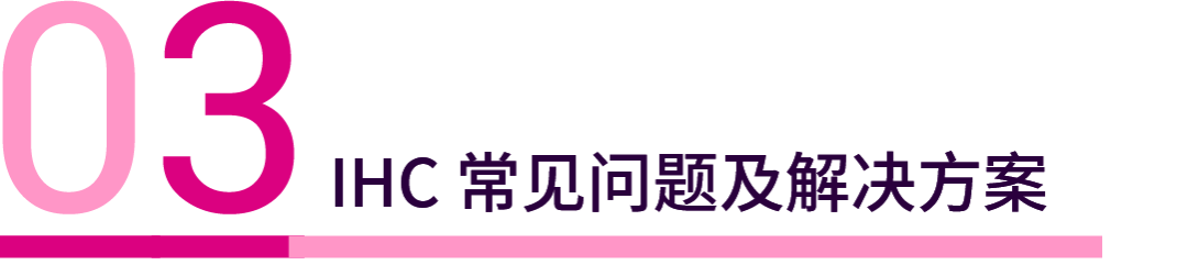 26_7Nvibfc8iaDZwsibn72RCDLx8QfWWQ.png