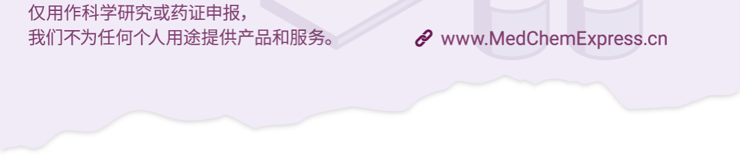 41_vZBNx1jw7hHSKM2xCgSq4z7x2lN3Nw.png