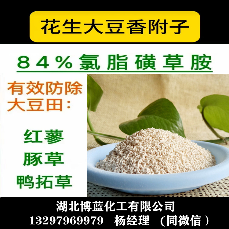 氯酯磺草胺WDG.jpg
